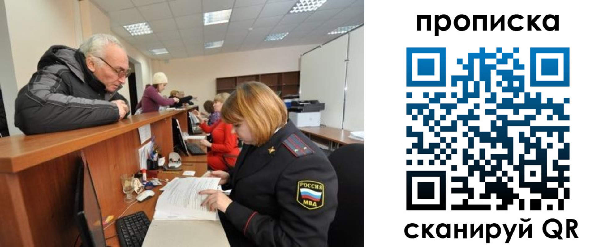 прописка поиск в Сельцо